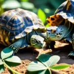 Adaptaciones sorprendentes en el cortejo de reptiles