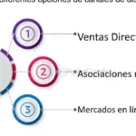 Aumenta ventas en mercados emergentes con estrategias de distribución