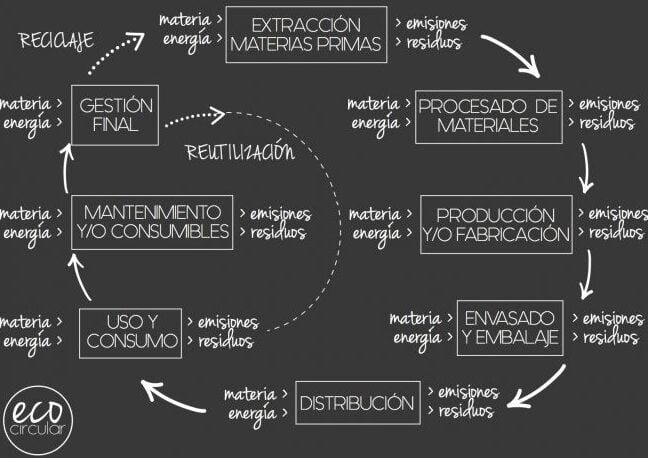 Economía circular: Ejemplos exitosos de prácticas a nivel mundial - Mercadillo5 Economía circular: Ejemplos exitosos de prácticas a nivel mundial - Mercadillo5