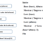 El papel clave de los programadores en la creación de instrucciones y algoritmos