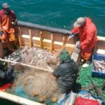 La influencia de la contaminación del agua en la pesca y acuicultura