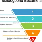 Reptiles y su fascinante cortejo: ¡Señales visuales imperdibles!